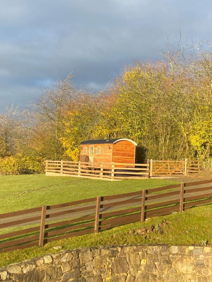 Willa The Snug At Coed Y Gaer Oswestry Zewnętrze zdjęcie